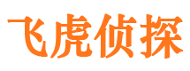 桃城市婚姻调查